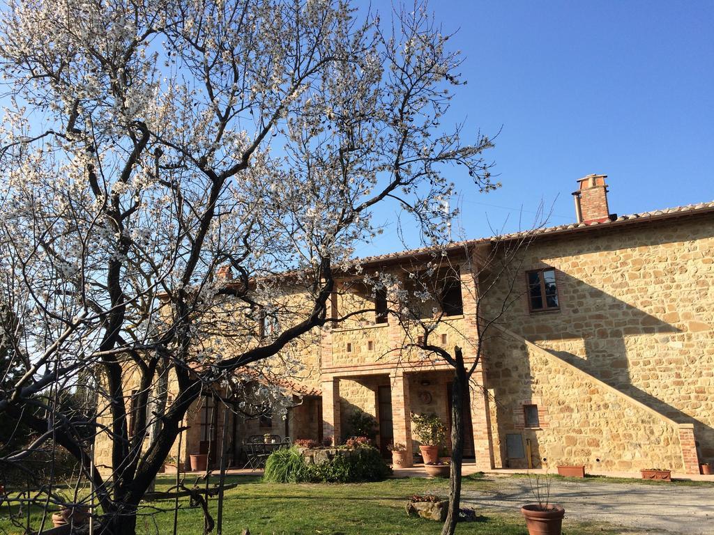 Agriturismo Podere San Gregorio Πιέντσα Εξωτερικό φωτογραφία