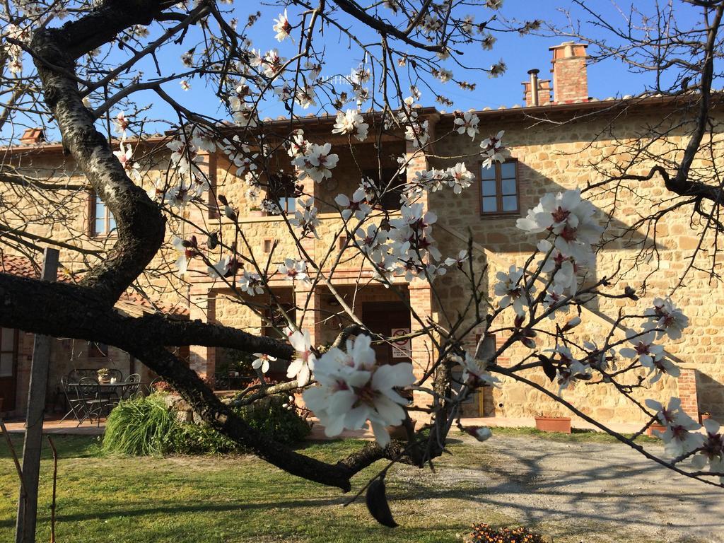 Agriturismo Podere San Gregorio Πιέντσα Εξωτερικό φωτογραφία